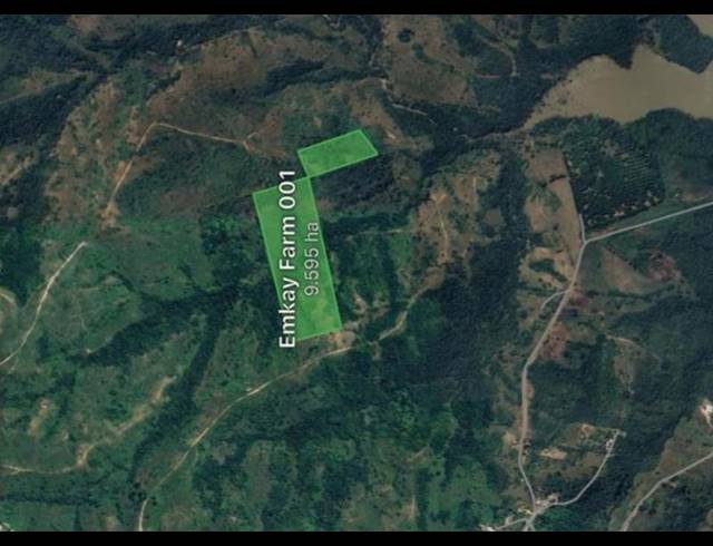 FARM FOR SALE IN COTTON LANDS